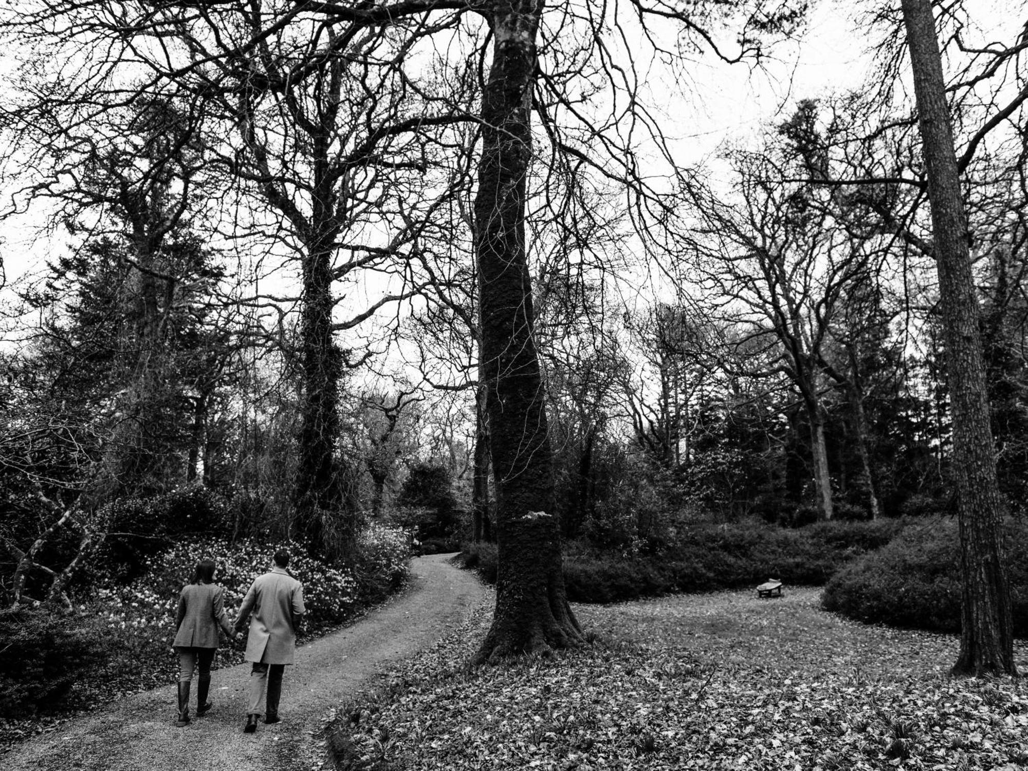 The Forest At Mount Congreve Gardens Kilmeaden Exterior foto